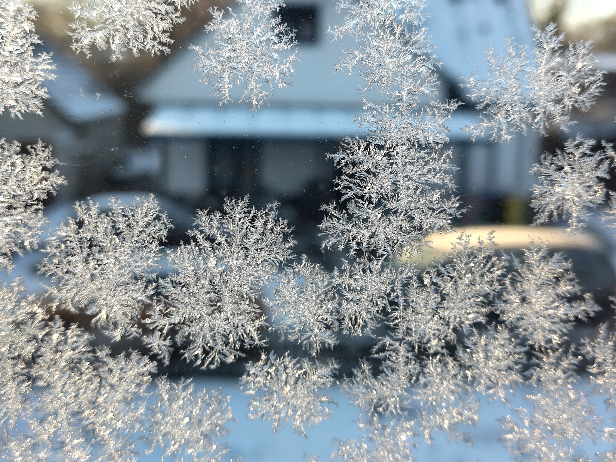 Frost patterns on window Some large frost patterns on a glass window, being brightly lit by the morning sun
